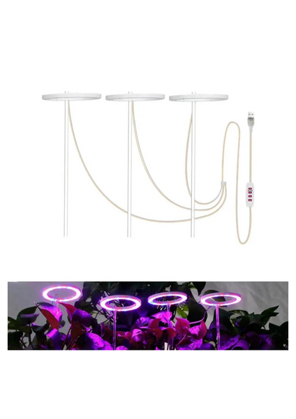 Фитолампа для растений 4 кольца LED Grow Light USB | Лампа для рассады и комнатных растений с таймером фітокільця фото