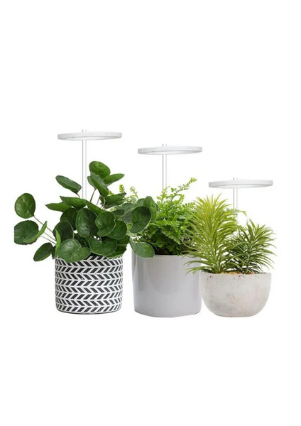 Фитолампа для растений 4 кольца LED Grow Light USB | Лампа для рассады и комнатных растений с таймером фітокільця фото