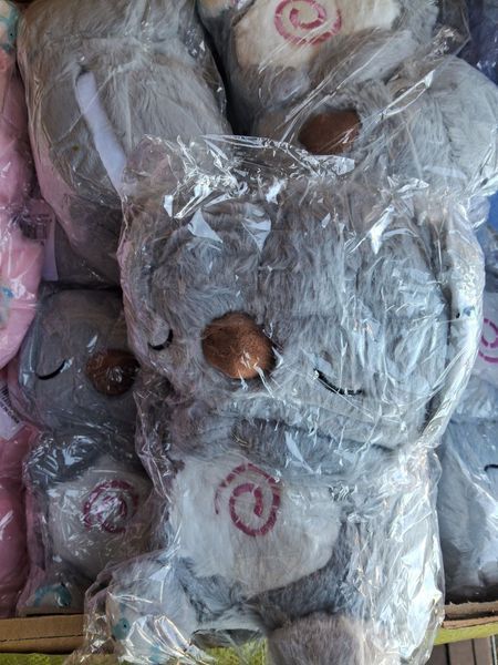 Мягкая игрушка коала ночник с функцией дыхания серая коаласіра фото